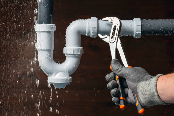 Professional Emergency Plumber technician working in Lowpoint, IL